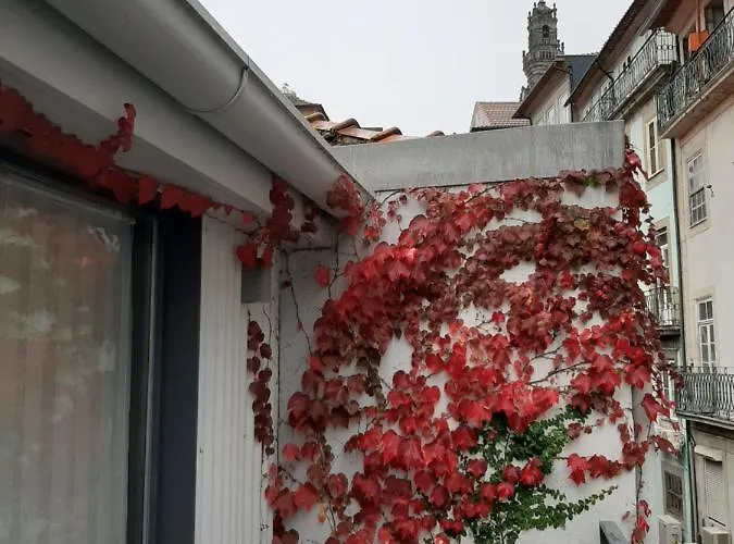 Apartamento Amazing Center Lóios Porto