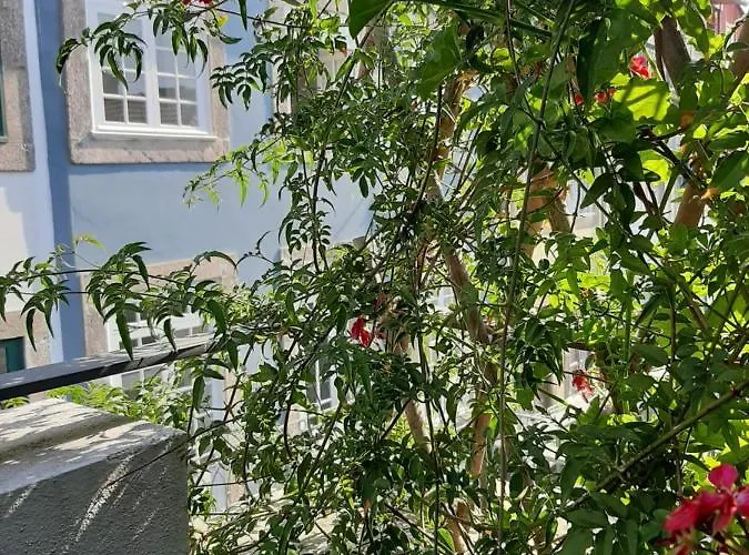 Amazing Center Loios شقة