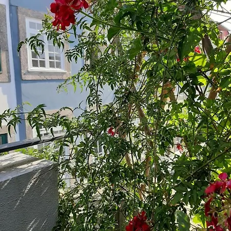 Amazing Center Loios Lejlighed